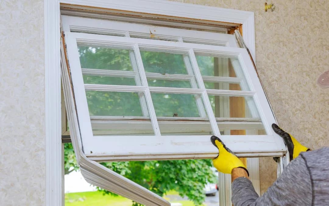 What You Need to Know About Window Replacement