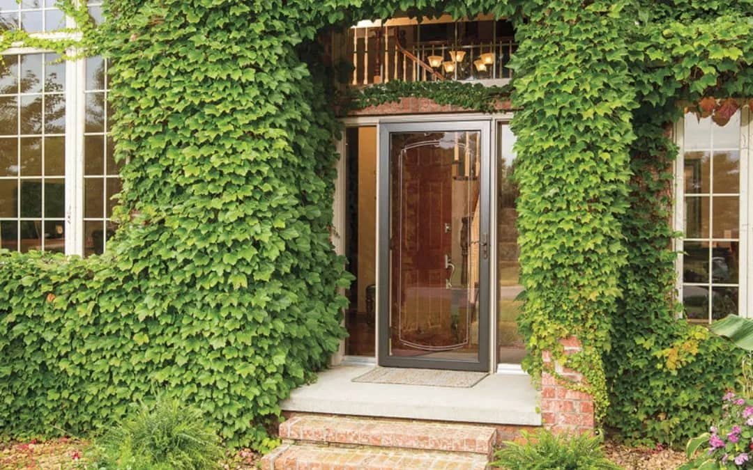Do You Really Need a Storm Door? The Definitive Guide to Deciding What's Best for You4