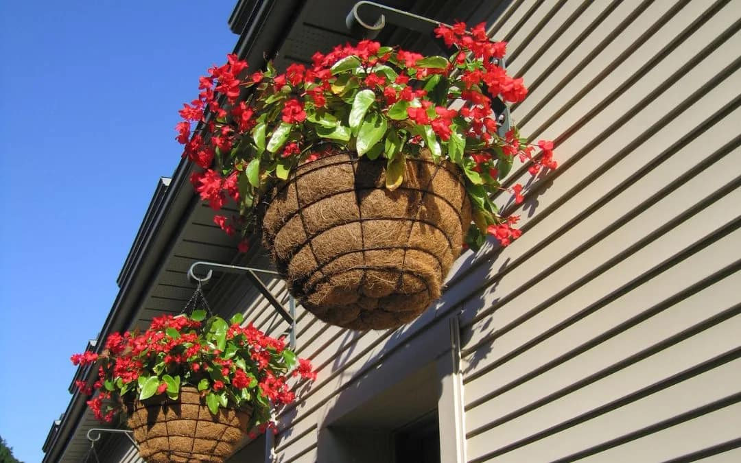 How to Hang Planters Outside Your Windows A Guide to Enhancing Your View2