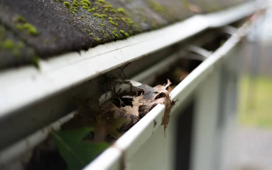 DIY Gutter Cleaning Tips for Keeping Your Gutters in Top Shape5