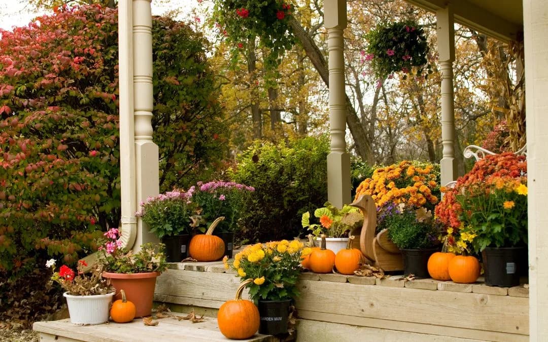 Transform Your Front Walk into a Fall Wonderland with the Perfect Entry Door