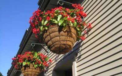 How to Hang Planters Outside Your Windows: A Guide to Enhancing Your View