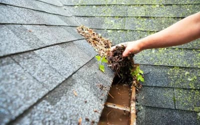 DIY Gutter Cleaning: Tips for Keeping Your Gutters in Top Shape