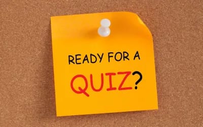 Window Replacement: Take This Quiz to Find Your Perfect Window Solution