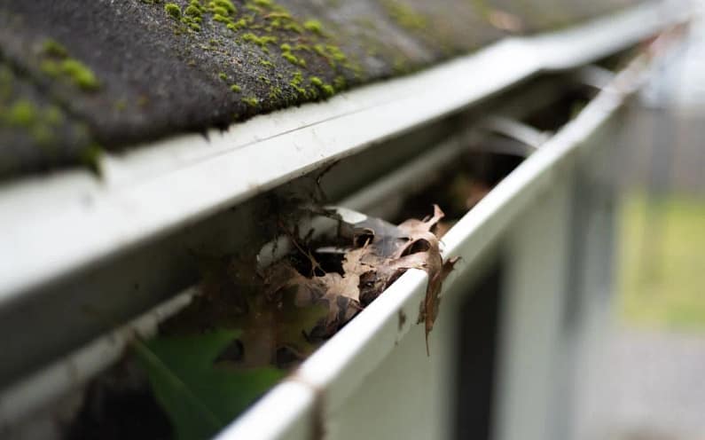 DIY Gutter Cleaning Tips for Keeping Your Gutters in Top Shape5